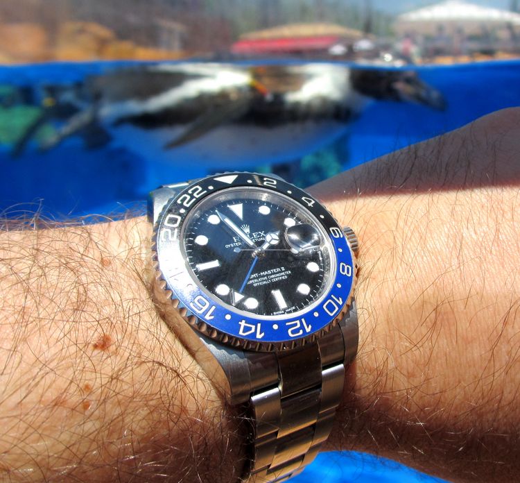 Rolex GMT mit Pinguin