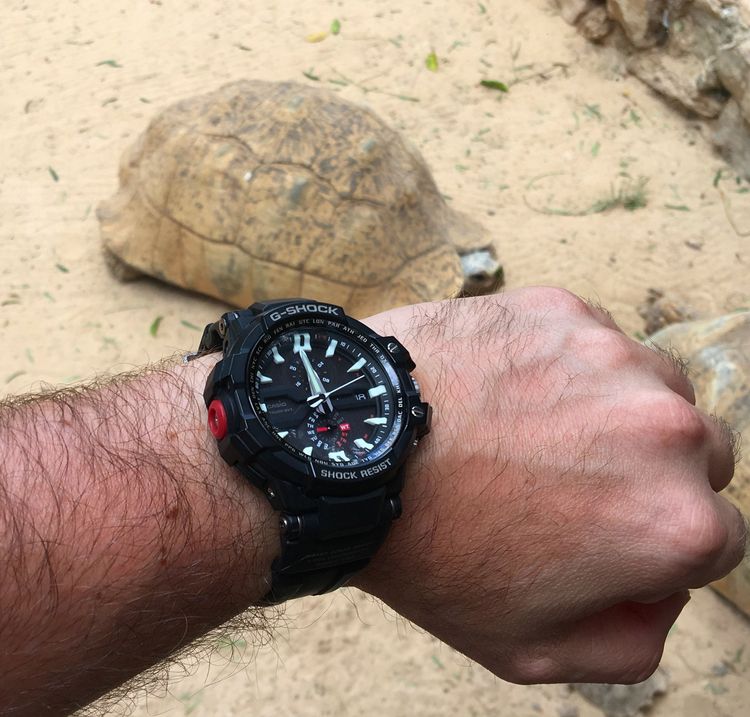 G-Shock Uhr Turtle