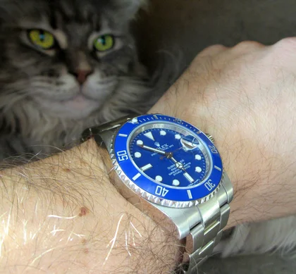 Rolex Submariner Whitegold Wristshot