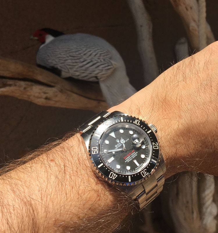 Rolex Sea-Dweller red