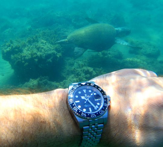 Rolex GMT Uhr Unterwasserbild