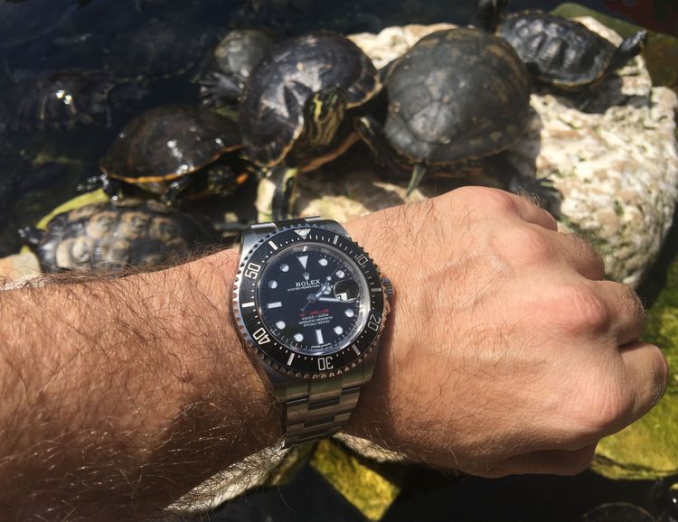 Sea-Dweller red Wristshot