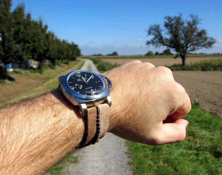 Panerai 270 Wristshot