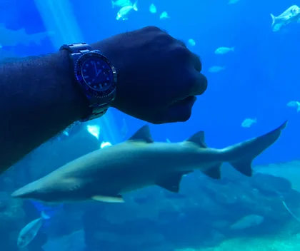 Rolex GMT Taucheruhr