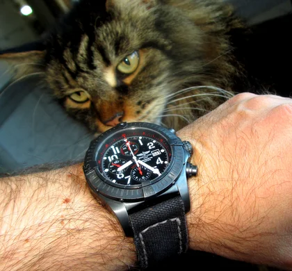 Breitling Avenger am Handgelenk