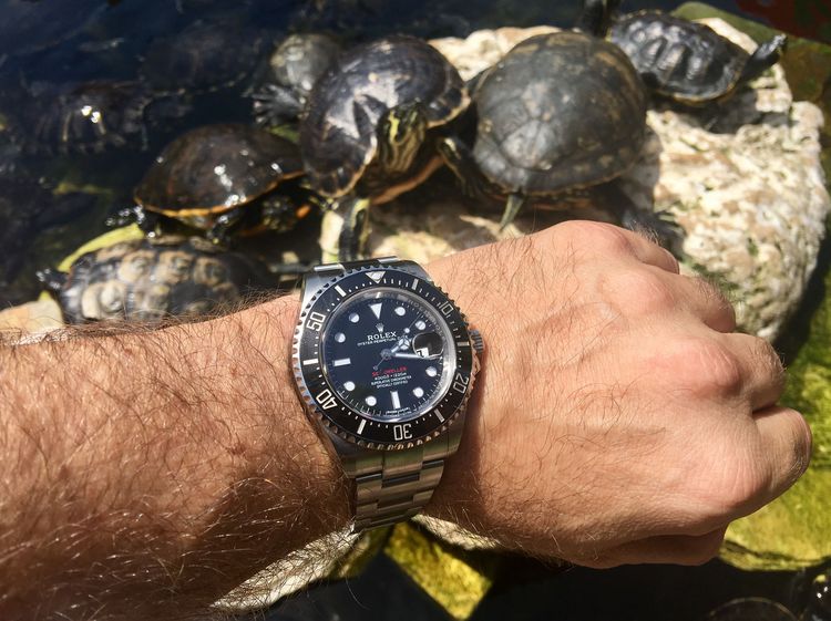 Rolex SeaDweller rot