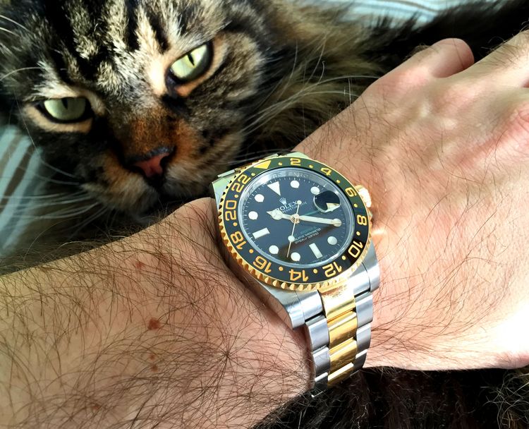 Rolex GMT Master II two tone bi colour on the wrist