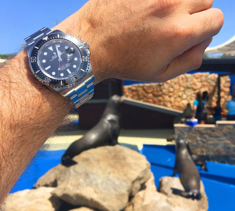 Sea-Dweller 43mm Wristshot