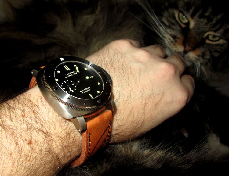 PAM 305 Wristshot mit Luchs